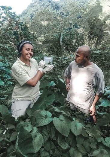 FijiKava impact and community