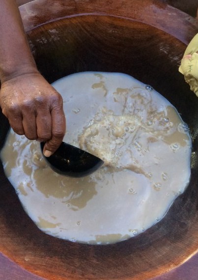 Kava 101 guide to all things kava