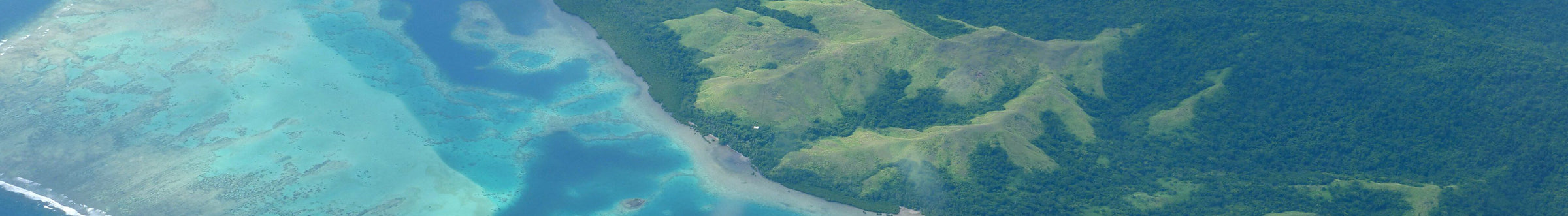 Contact FijiKava