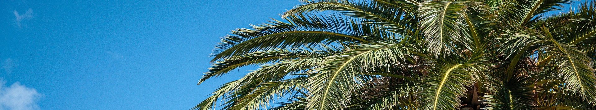 About FijiKava — bringing the Fiji calm to you
