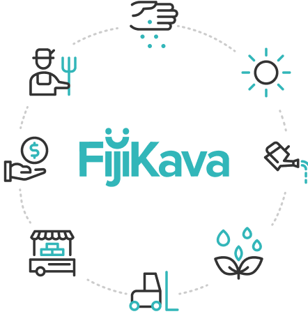 Fair-trade Fijian kava farmers