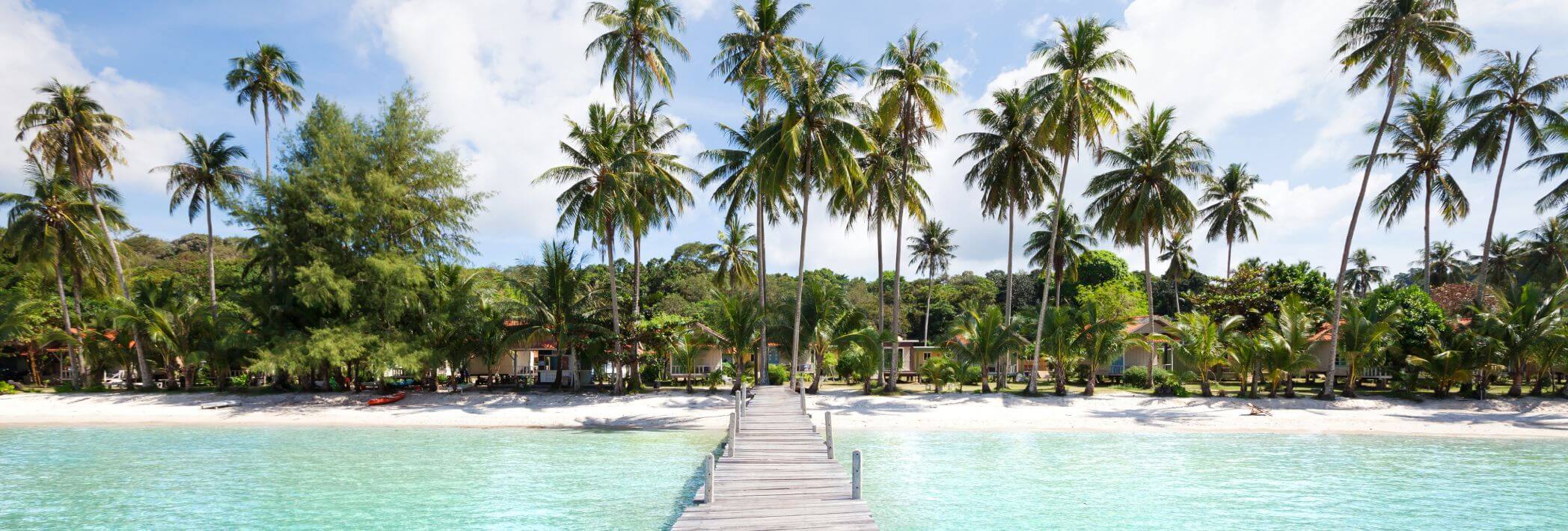 Sustainability at FijiKava