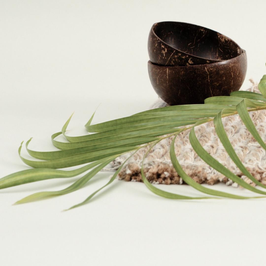 Bilo Coconut Kava Drinking Cup